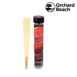 Orchard Beach Farms King Size Cone